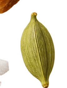 Cardamom pod
