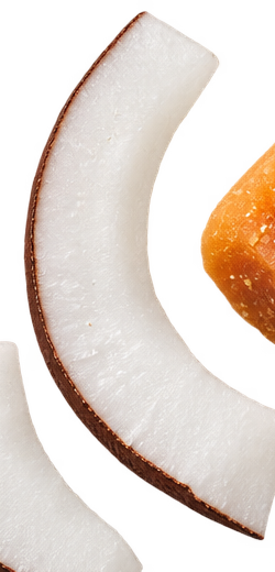 Coconut pieces