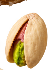 Pistachio